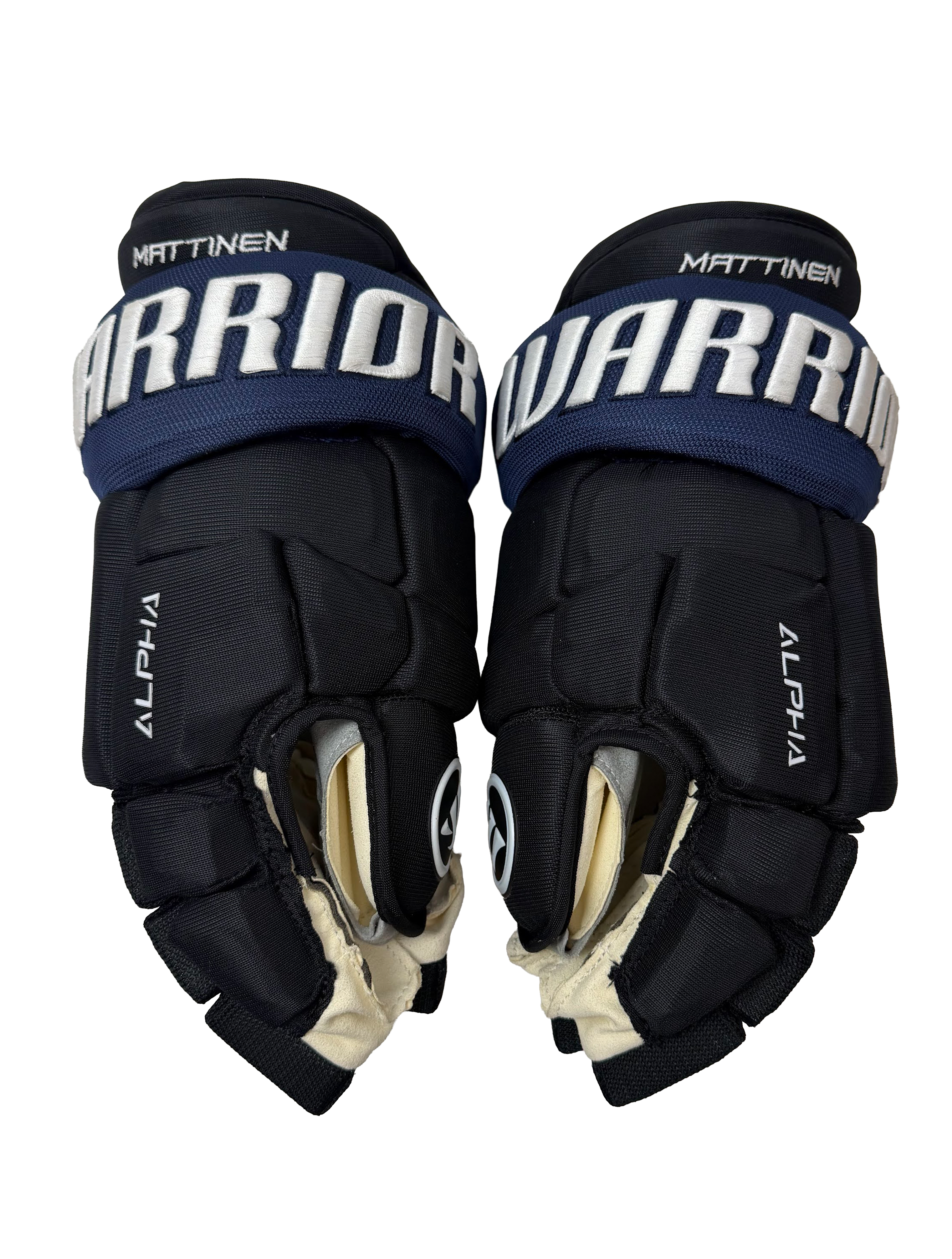 Warrior Alpha DX 15" Black/Blue